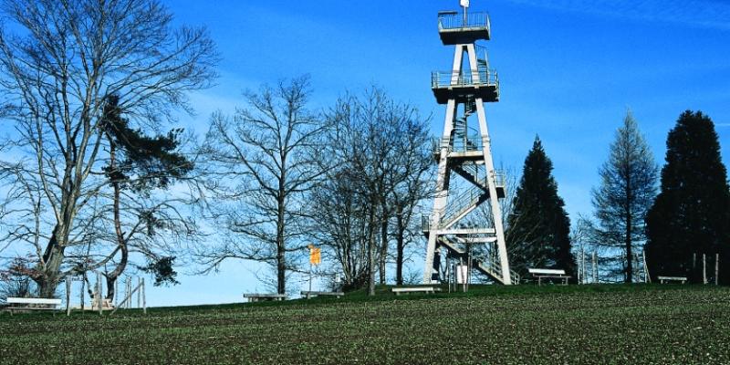 Reinach AG