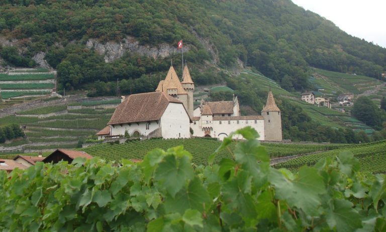 Le château d'Aigle