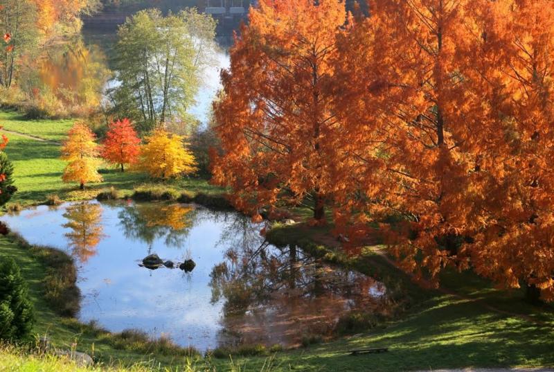 Ouvert toute l'année, l'Arboretum offre de très belles couleurs en automne