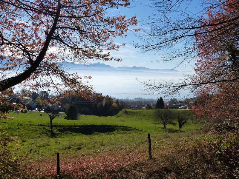 Vue de Belmont-sur-Lausanne et le Léman depuis le signal de Belmont.
