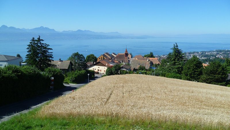 Vue de Belmont-sur-Lausanne. A l’arrière-plan, le Léman.