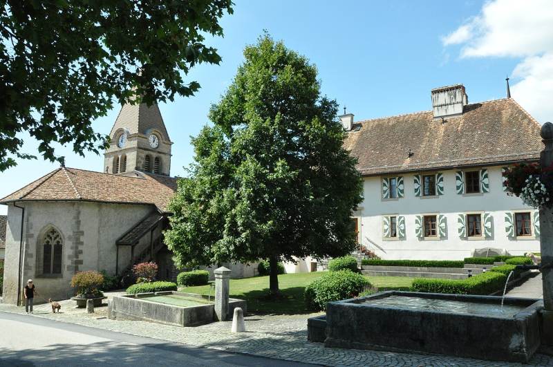 Bursins