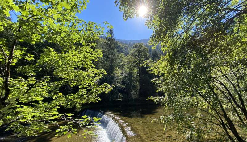 Champ-du-Moulin