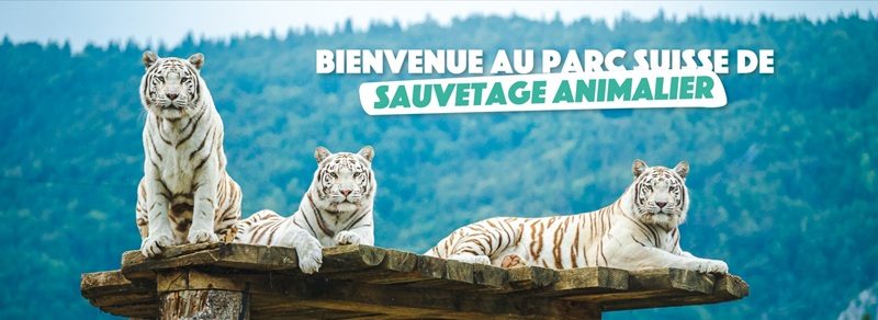 Bannière du site du Sikyparc